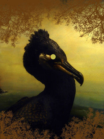 Helen Sear