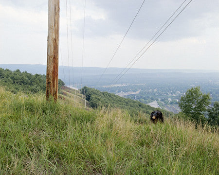 STEIN, AMY